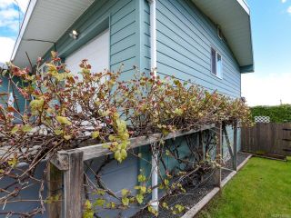 Photo 52: 331 McCarthy St in CAMPBELL RIVER: CR Campbell River Central House for sale (Campbell River)  : MLS®# 838929