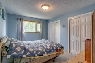Photo 12: 48 Spring Haven Close SE: Airdrie Detached for sale : MLS®# A1131621