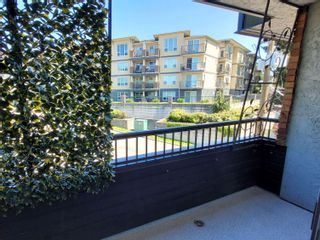 Photo 29: 319 2551 WILLOW Lane in Abbotsford: Central Abbotsford Condo for sale in "Valley View Manor" : MLS®# R2881331