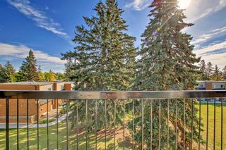 Photo 21: 302 3506 44 Street SW in Calgary: Glenbrook Apartment for sale : MLS®# A2079706