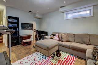 Photo 25: 117 Coventry Mews NE in Calgary: Coventry Hills Detached for sale : MLS®# A2123298