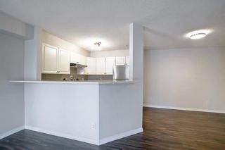 Photo 12: 1112 6635 25 Avenue NE in Calgary: Pineridge Apartment for sale : MLS®# A1177665