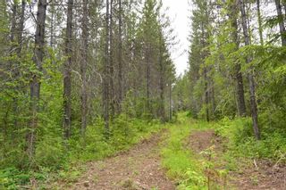 Photo 26: DL 1335A 37 Highway: Kitwanga Land for sale (Smithers And Area (Zone 54))  : MLS®# R2471833
