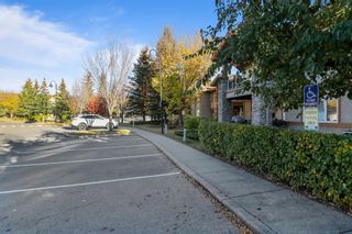 Photo 32: 2113 2113 Lake Fraser Court SE in Calgary: Lake Bonavista Apartment for sale : MLS®# A2005905