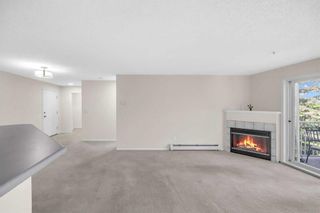 Photo 20: 335 1717 60 Street SE in Calgary: Red Carpet Apartment for sale : MLS®# A2141879