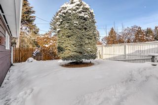 Photo 43: 608 Willow Park Drive SE in Calgary: Willow Park Detached for sale : MLS®# A2021978