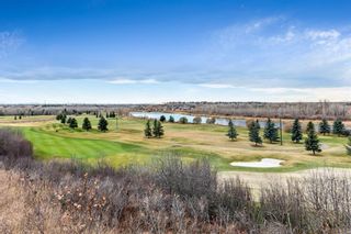 Photo 41: 96 Mt Robson Circle SE in Calgary: McKenzie Lake Detached for sale : MLS®# A1046953