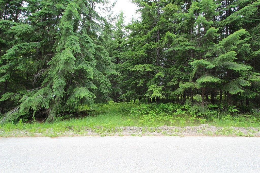 Main Photo: 108 Airstrip Road in Anglemont: North Shuswap Land Only for sale (Shuswap)  : MLS®# 10067018