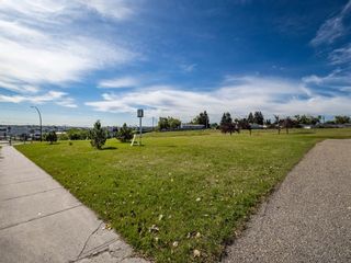 Photo 31: 6044 4 Street NE in Calgary: Thorncliffe Detached for sale : MLS®# A1144171