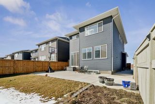 Photo 46: 236 Red Sky Terrace NE in Calgary: Redstone Detached for sale : MLS®# A2125780