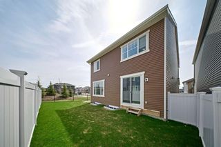 Photo 49: 254 Carringham Road NW in Calgary: Carrington Detached for sale : MLS®# A2126120