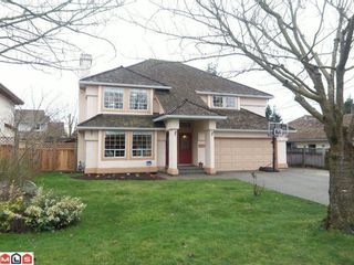 Photo 1: 21796 46TH Avenue in Langley: Murrayville House for sale in "Upper Murrayville" : MLS®# F1204533