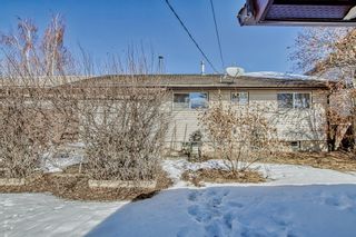 Photo 29: 2839 Cedar Ridge Drive SW in Calgary: Cedarbrae Detached for sale : MLS®# A2034681