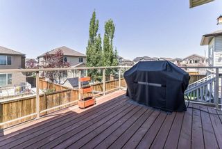 Photo 39:  in Calgary: Panorama Hills House for sale : MLS®# C4194741
