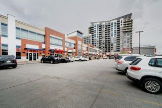 Photo 35: 2112 8710 Horton Road SW in Calgary: Haysboro Apartment for sale : MLS®# A1215879