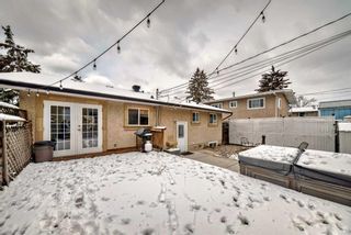 Photo 39: 928 Moodie Road NE in Calgary: Mayland Heights Detached for sale : MLS®# A2123635