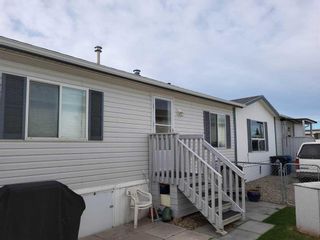 Photo 13: 28 1101 84th Street NE in Calgary: Abbeydale Mobile for sale : MLS®# A2088432