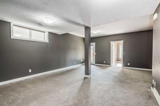 Photo 38: 228 Evansview Road NW in Calgary: Evanston Detached for sale : MLS®# A2055674