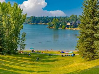Photo 44: 207 Lake Arrow Green SE in Calgary: Lake Bonavista Detached for sale : MLS®# A1245746