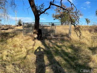 Photo 5: Property for sale: 3469 Old Stage in Butte Valley
