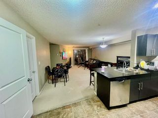 Photo 3: 203 5 Saddlestone Way NE in Calgary: Saddle Ridge Apartment for sale : MLS®# A2112716