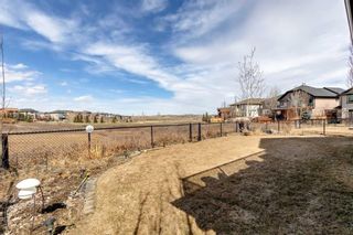 Photo 38: 44 Sage Hill Way NW in Calgary: Sage Hill Detached for sale : MLS®# A2123182