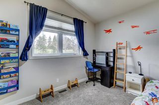 Photo 22: 176 Constable Road NW in Calgary: Collingwood Detached for sale : MLS®# A2047880