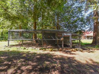 Photo 22: 4981 Childs Rd in COURTENAY: CV Courtenay North House for sale (Comox Valley)  : MLS®# 840349