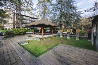 Photo 34: 509 9867 MANCHESTER Drive in Burnaby: Cariboo Condo for sale in "BARCLAY WOODS" (Burnaby North)  : MLS®# R2865204