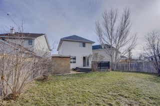 Photo 31: 117 Coral Springs Mews NE in Calgary: Coral Springs Detached for sale : MLS®# A2121614