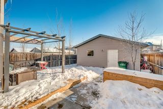 Photo 4: 617 Morningside Park SW: Airdrie Detached for sale : MLS®# A2031966