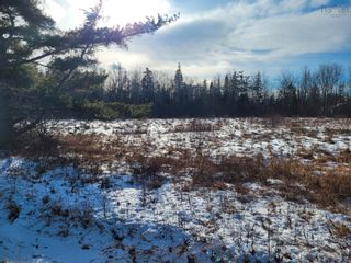 Photo 1: Lot 1 Highway 106 in Haliburton: 108-Rural Pictou County Vacant Land for sale (Northern Region)  : MLS®# 202400764