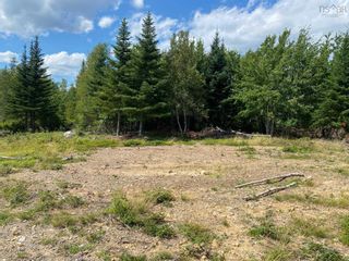 Photo 5: Lot 10 Conquerall Road in Conquerall Mills: 405-Lunenburg County Vacant Land for sale (South Shore)  : MLS®# 202219078
