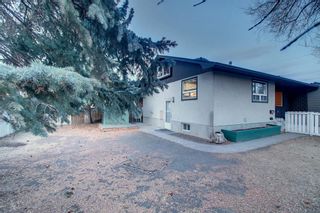 Photo 42: 3916 32 Avenue SW in Calgary: Glenbrook Semi Detached for sale : MLS®# A1179467
