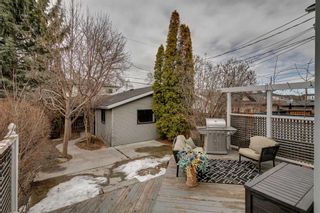 Photo 44: 608 21 Avenue NW in Calgary: Mount Pleasant Detached for sale : MLS®# A2122013