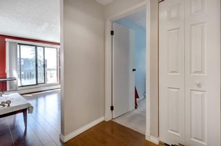 Photo 19: 301 630 57 Avenue SW in Calgary: Windsor Park Apartment for sale : MLS®# A2044337