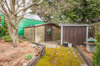 Photo 34: 1776 Dogwood Ave in Comox: CV Comox (Town of) House for sale (Comox Valley)  : MLS®# 898087