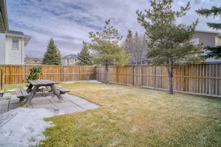 Photo 32: 87 Edgebrook Way NW in Calgary: Edgemont Detached for sale : MLS®# A1179636