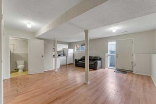 Photo 22: 36 Whitehaven Road NE in Calgary: Whitehorn Detached for sale : MLS®# A2129225