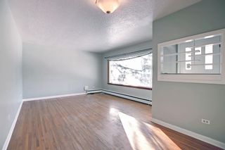 Photo 4: 3020 Morley Trail NW in Calgary: Banff Trail Detached for sale : MLS®# A2014478