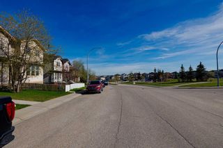 Photo 31: 44 Covemeadow Road NE in Calgary: Coventry Hills Semi Detached (Half Duplex) for sale : MLS®# A2130933