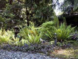 Photo 27: 116 BAYNES DRIVE in FANNY BAY: CV Union Bay/Fanny Bay Manufactured Home for sale (Comox Valley)  : MLS®# 702330