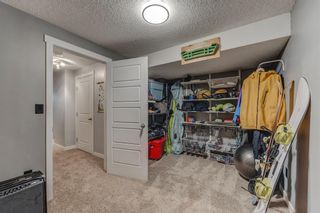 Photo 30: 422 Copperpond Boulevard SE in Calgary: Copperfield Detached for sale : MLS®# A2012597