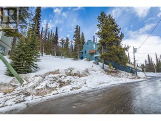 Photo 13: 7370 Porcupine Road in Big White: Vacant Land for sale : MLS®# 10304581