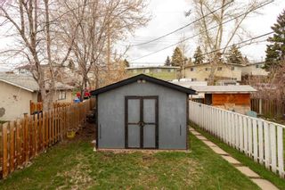 Photo 19: 2822 13 Avenue SE in Calgary: Albert Park/Radisson Heights Detached for sale : MLS®# A2130744