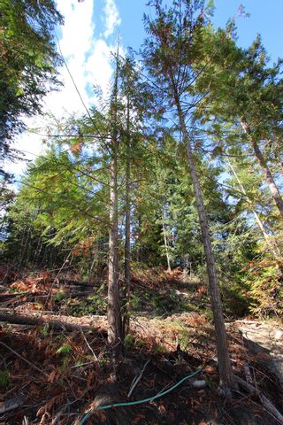 Photo 10: Lot 43 Centennial Drive in Blind Bay: Land Only for sale : MLS®# 10241144