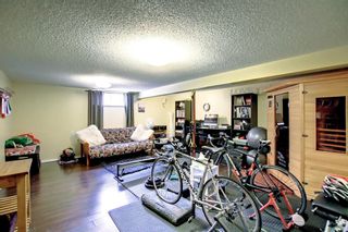 Photo 25: 5104 Norris Road NW in Calgary: North Haven Detached for sale : MLS®# A1224114