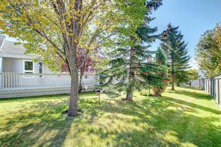 Photo 45: 297 Arbour Cliff Close NW in Calgary: Arbour Lake Semi Detached (Half Duplex) for sale : MLS®# A1255400