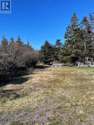 Photo 4: 5-7 Farewells Road in Creston: Vacant Land for sale : MLS®# 1264029