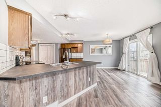 Photo 6: 33 Royal Elm Mews NW in Calgary: Royal Oak Detached for sale : MLS®# A2130672